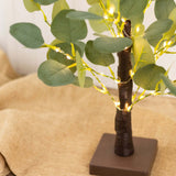 Warm White LED Fairy Lights